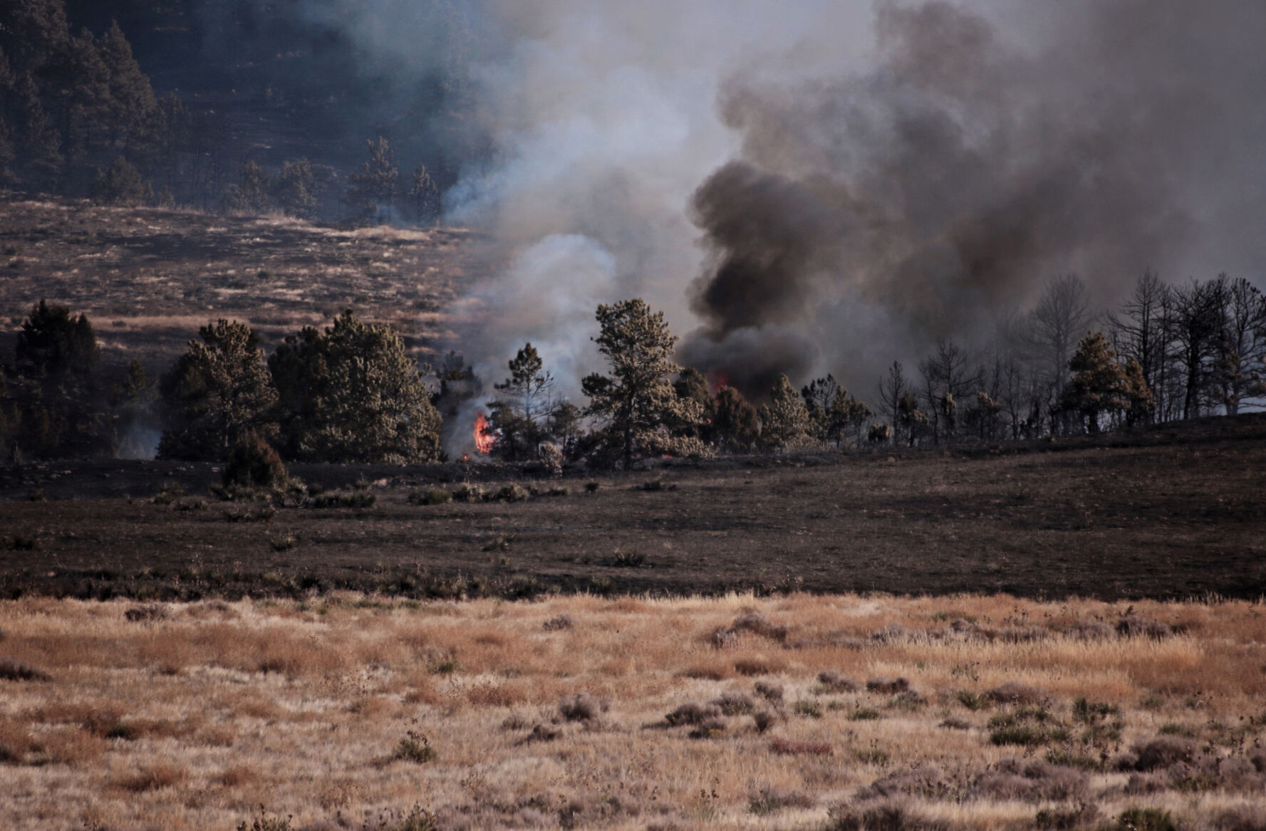 PHOTOS: Buffalo Creek Wildfire 2021